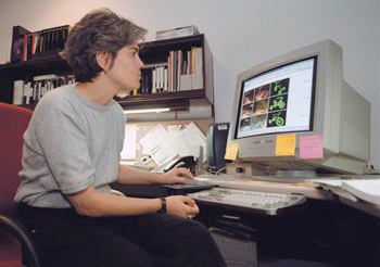 Maria Palazzi becomes director of ACCAD in 2001.